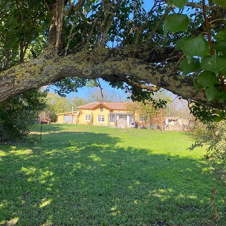 Ferienhaus Primorska Sunshine In Strandnaehe Sjabla Exteriör bild