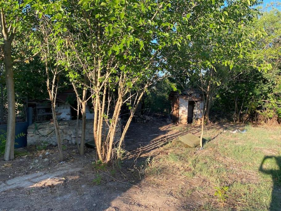 Ferienhaus Primorska Sunshine In Strandnaehe Sjabla Exteriör bild
