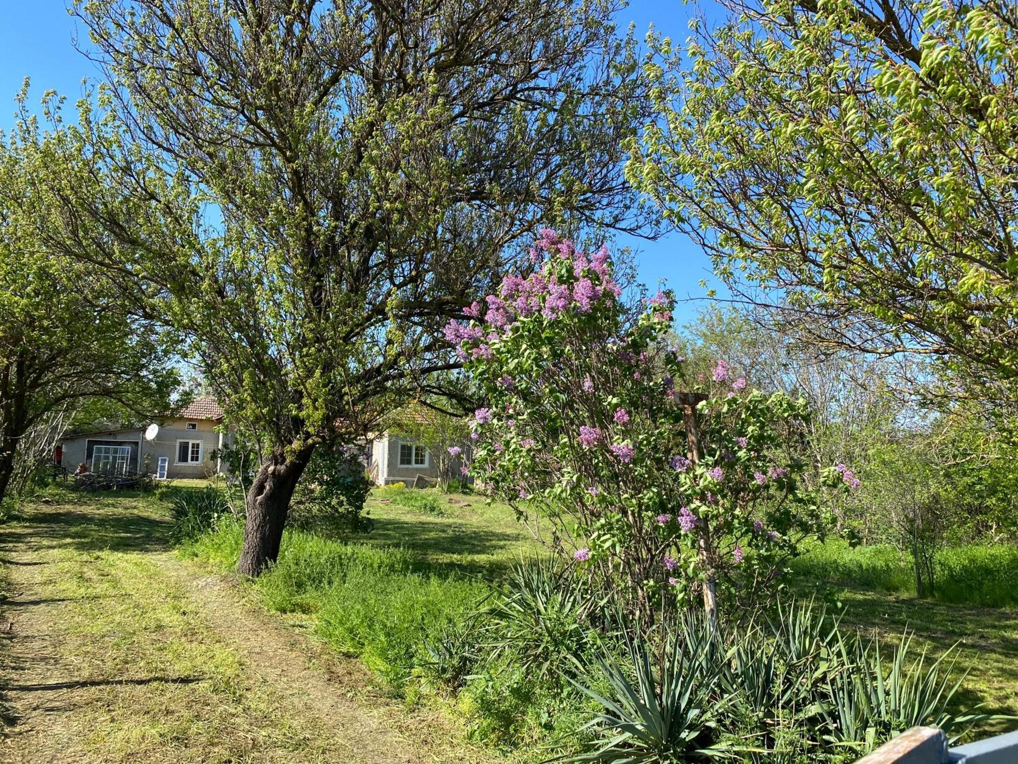 Ferienhaus Primorska Sunshine In Strandnaehe Sjabla Exteriör bild