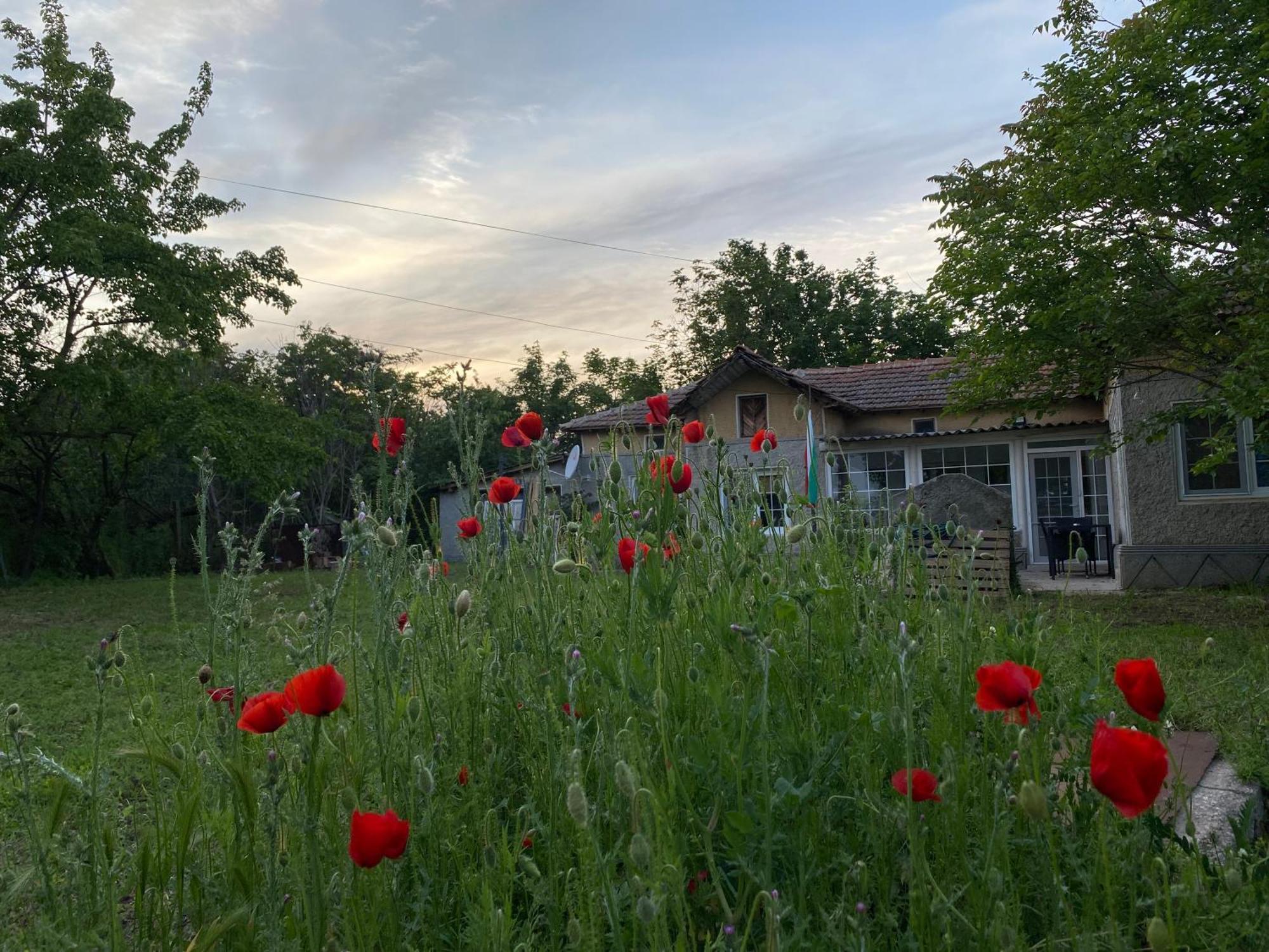 Ferienhaus Primorska Sunshine In Strandnaehe Sjabla Exteriör bild